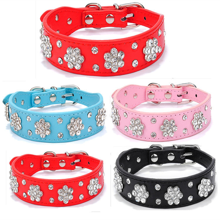 Dog Collar