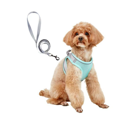 Dog Leash