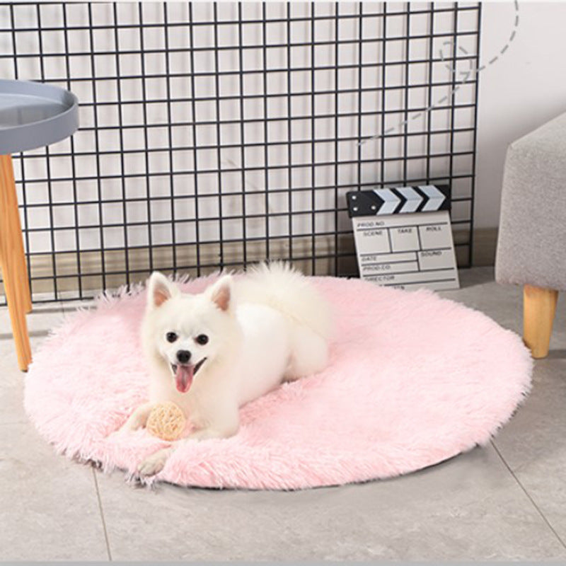 Dog  Blanket