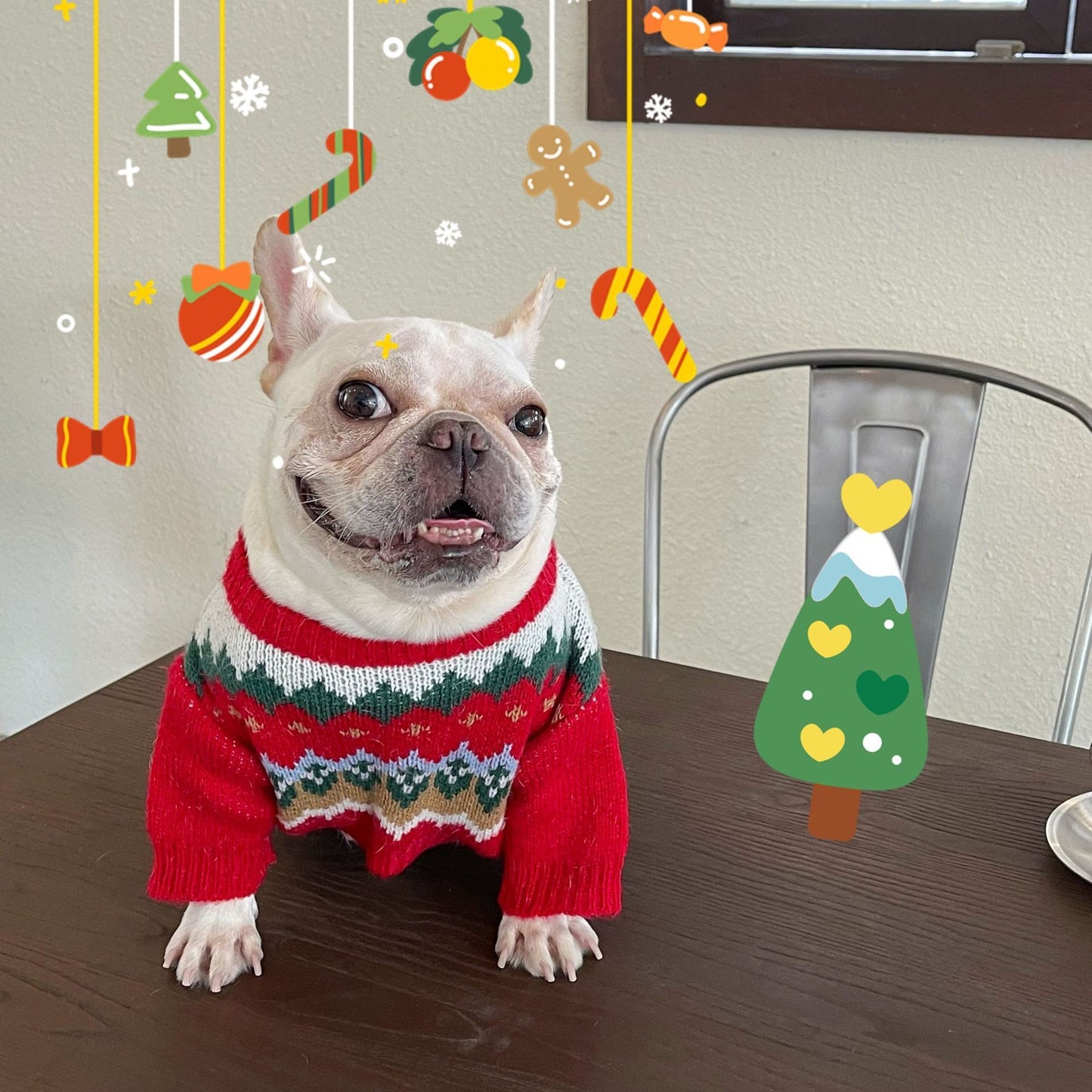 Christmas Sweater