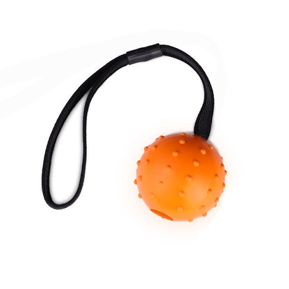 Dog Training Toy Ball