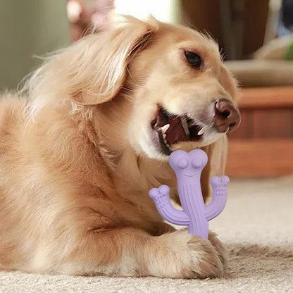 Dog Toy