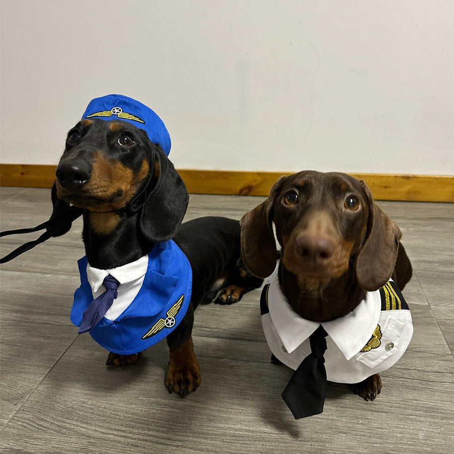 Dachshund Dog Halloween Suit