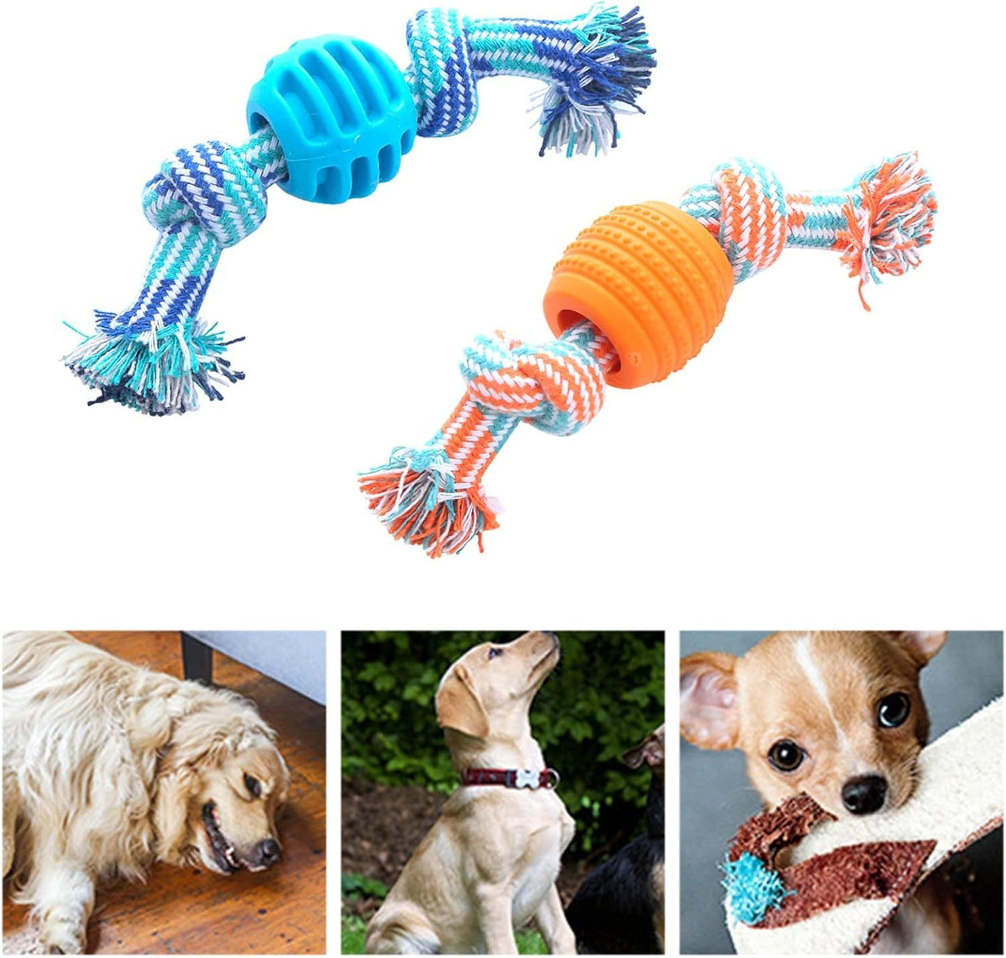 Dog Toy
