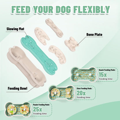 Dog Bowl