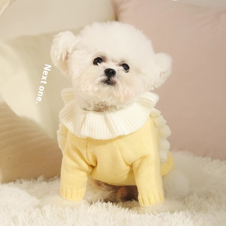 Puppy Sweater