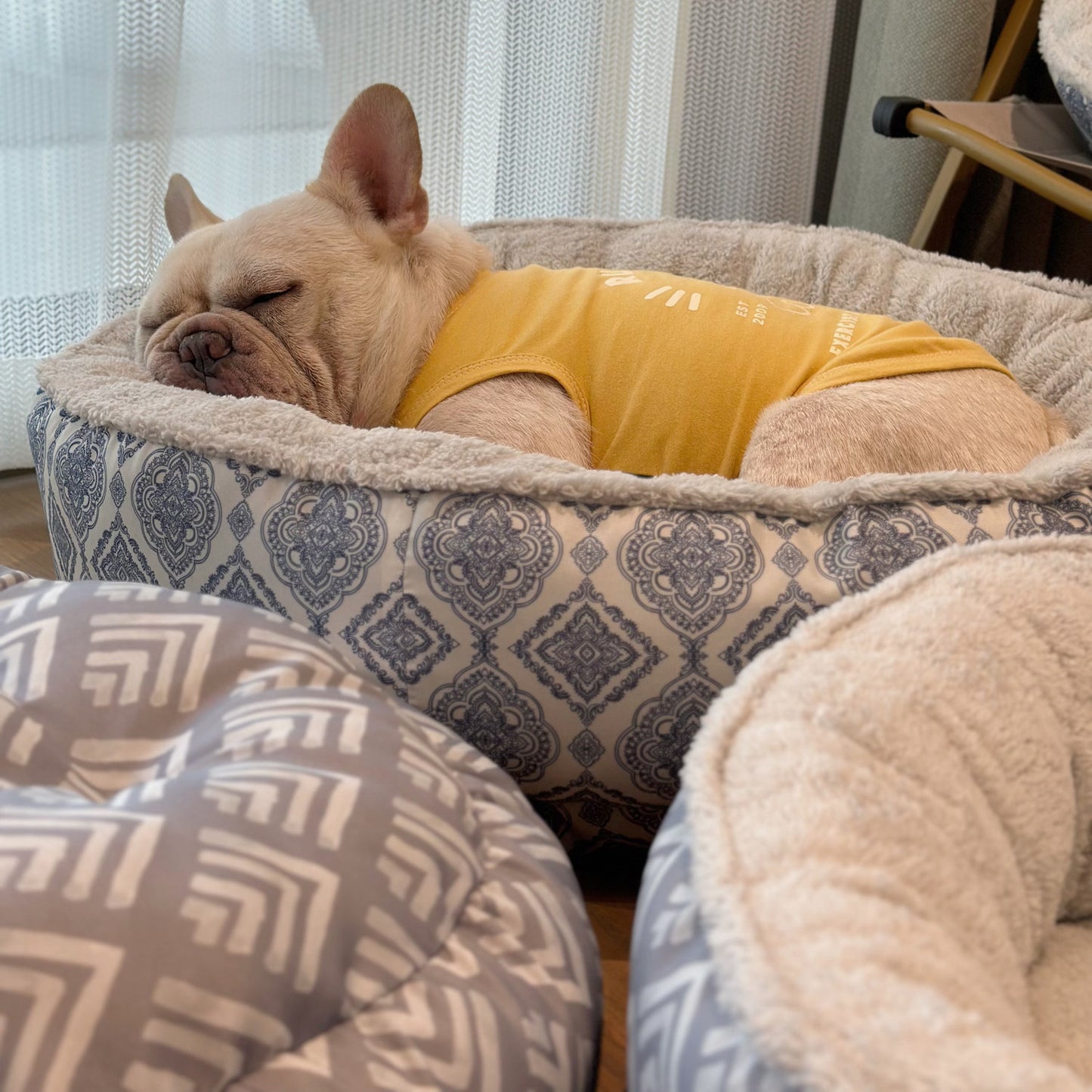 Dog Kennel