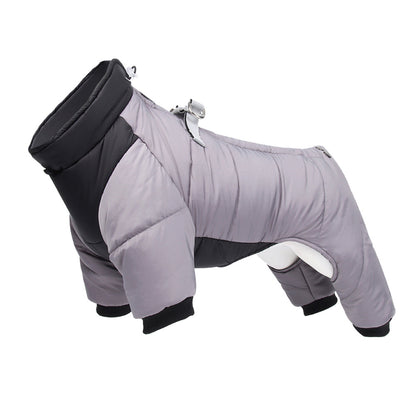 Winter Dog Clothes