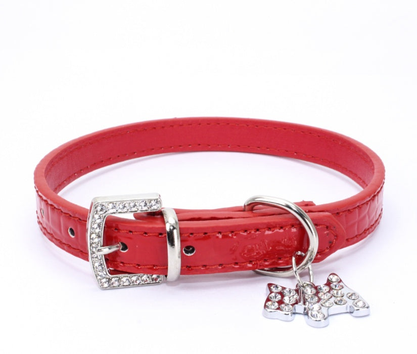 dog collar