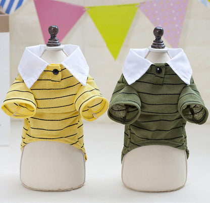 dog clothes