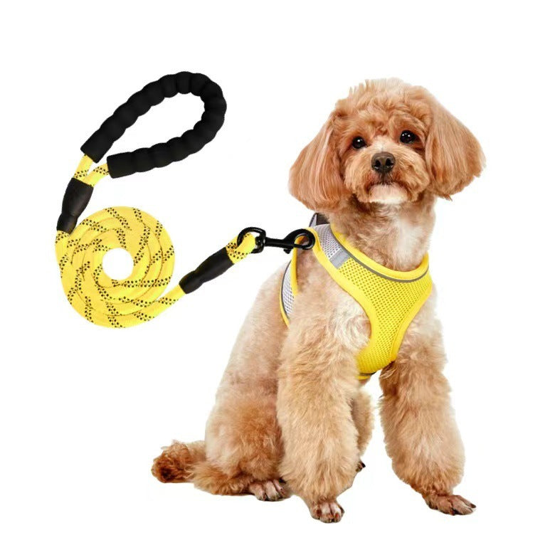 Dog Leash