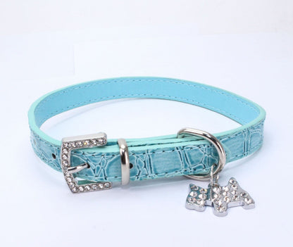 dog collar