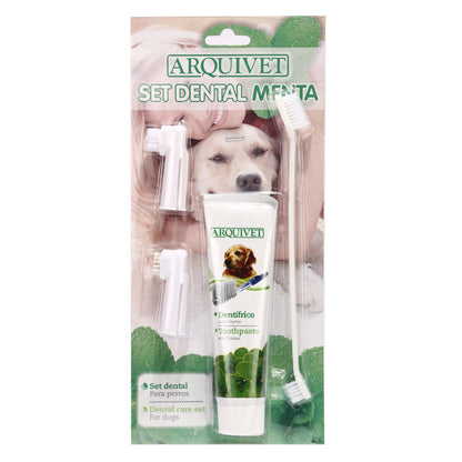 Pet toothpaste toothbrush set