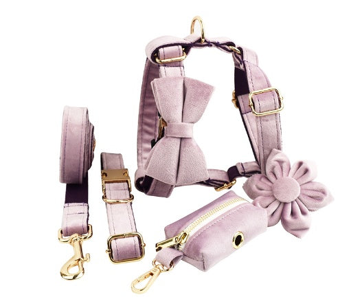 Collar Dog