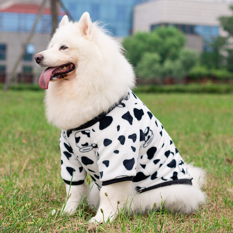 Dog Clothes