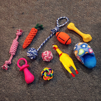 dog toy