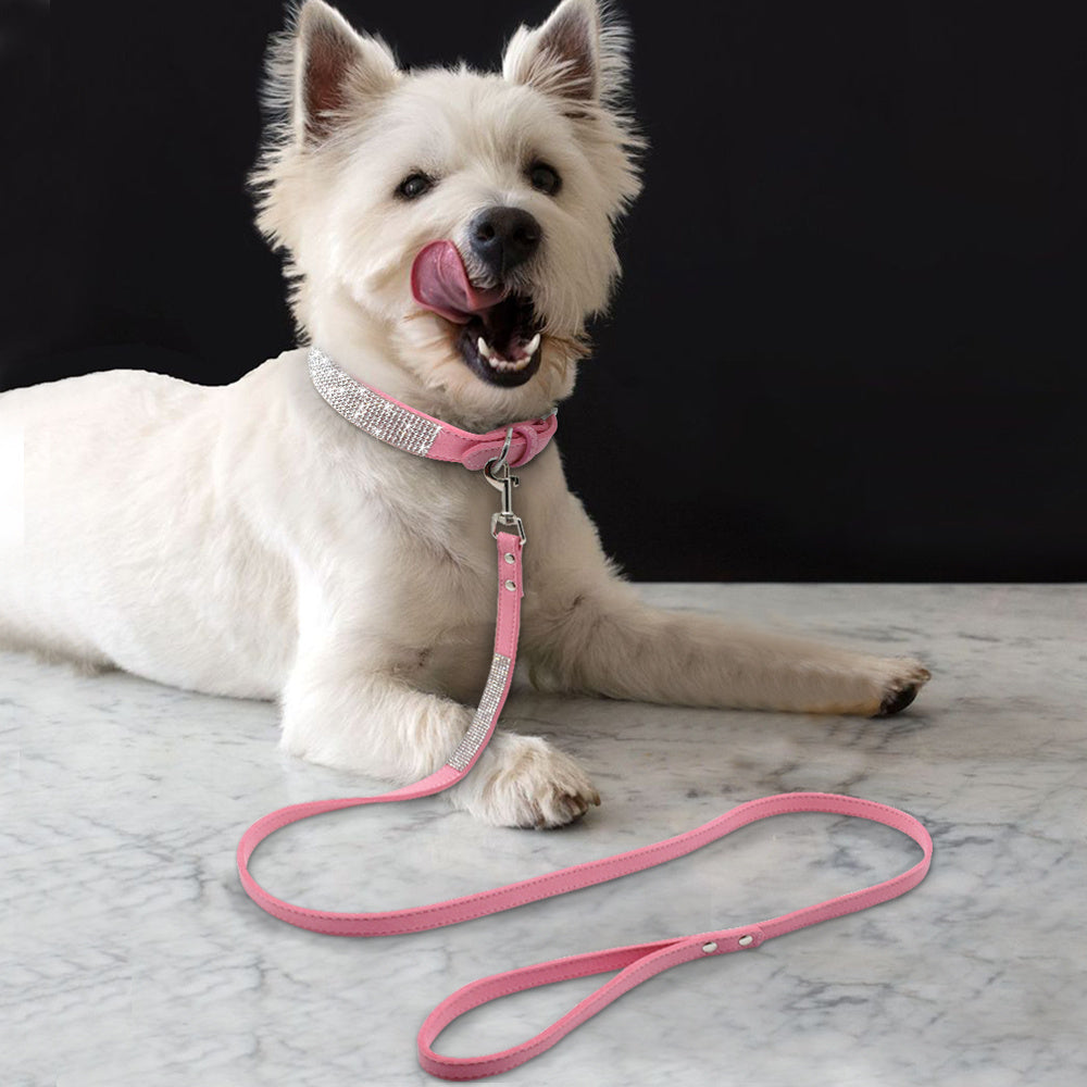 dog collar