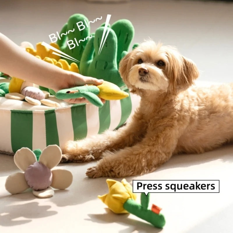 Dog Educational Toys