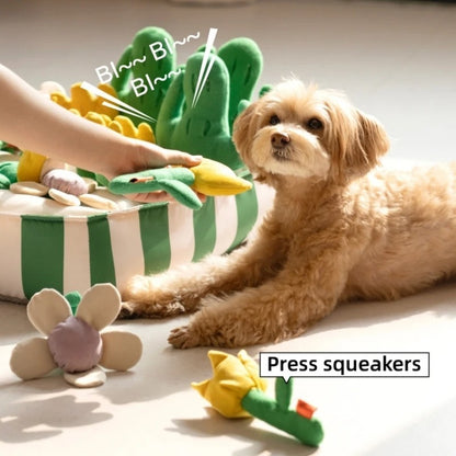 Dog Educational Toys