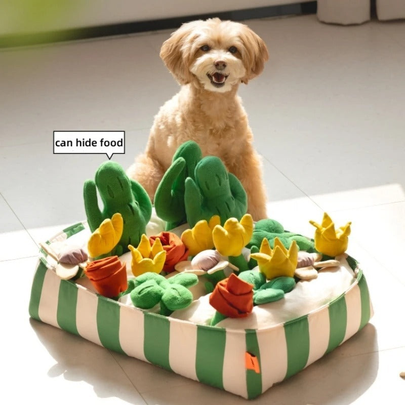 Dog Educational Toys