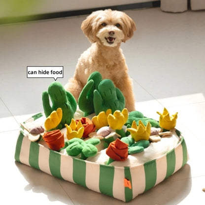 Dog Educational Toys