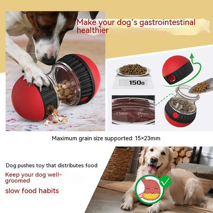 Dog Toy