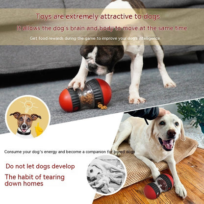 Dog Toy