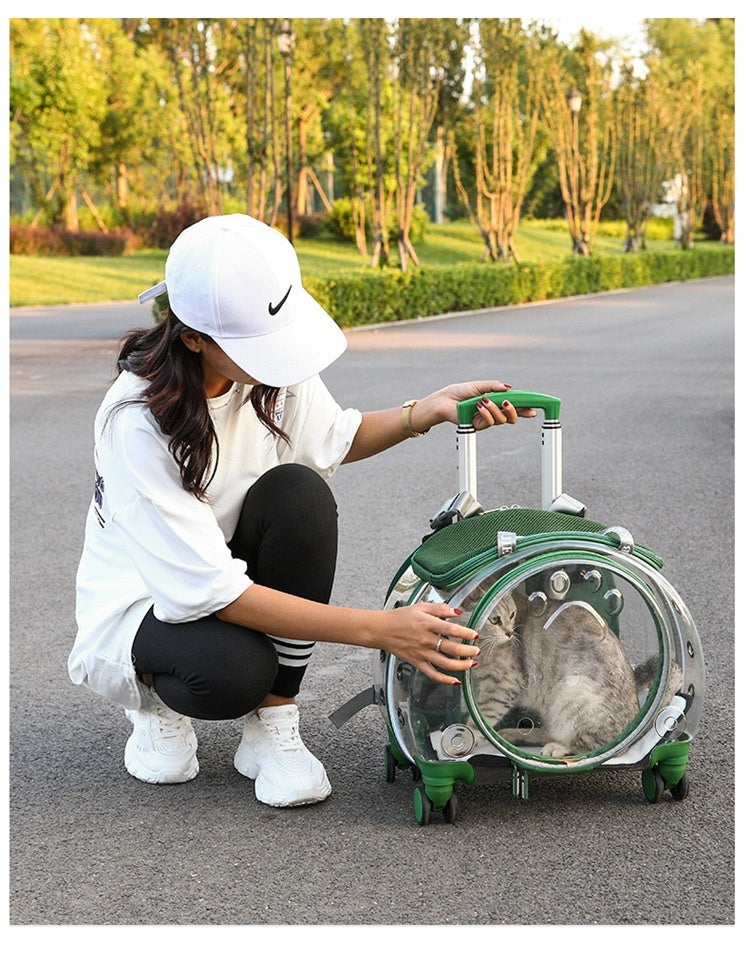 Dog Bag