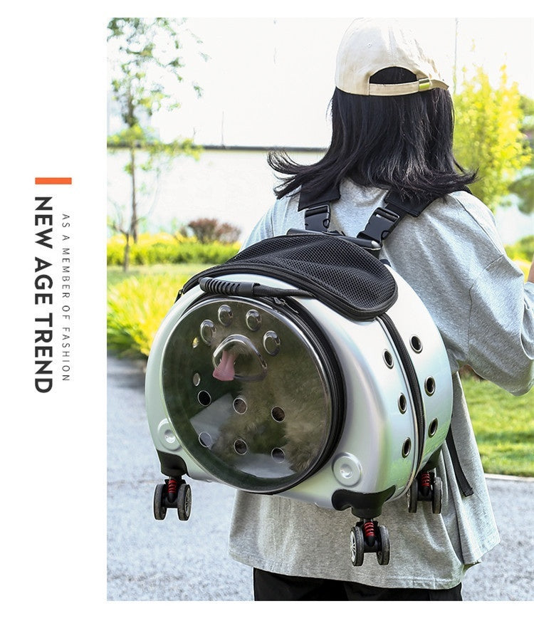 Dog Bag