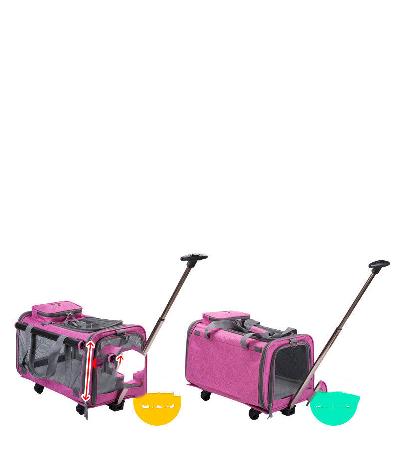 Dog bag