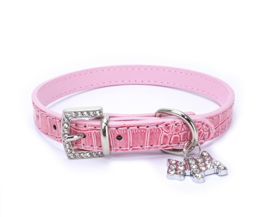 dog collar