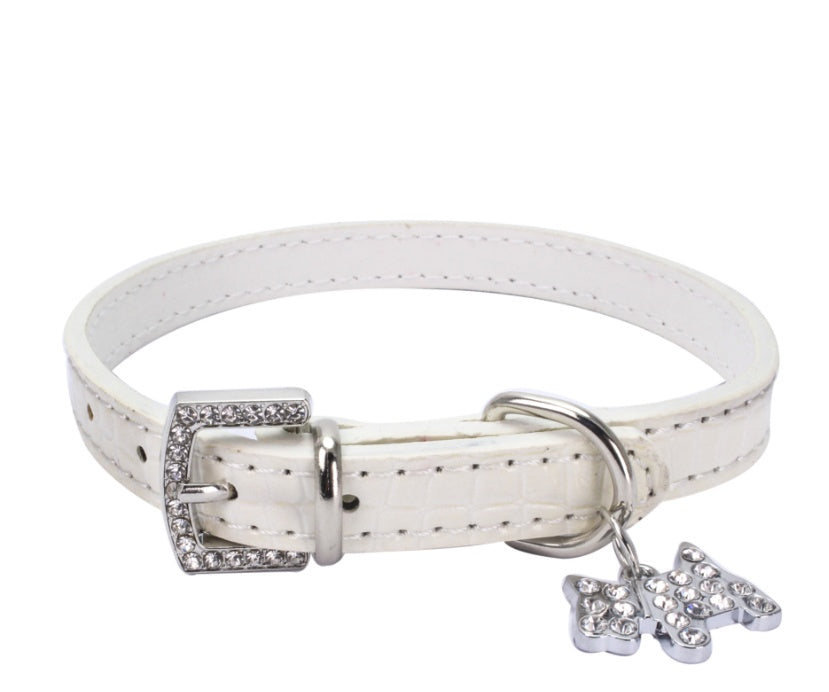 dog collar