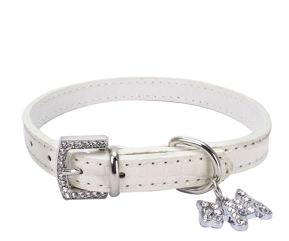 dog collar