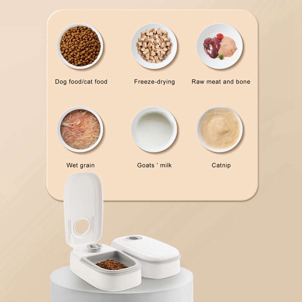 Dog Bowl