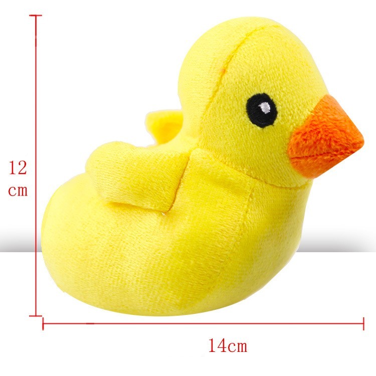 dog toy