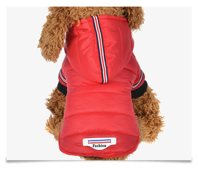 Dog clothes