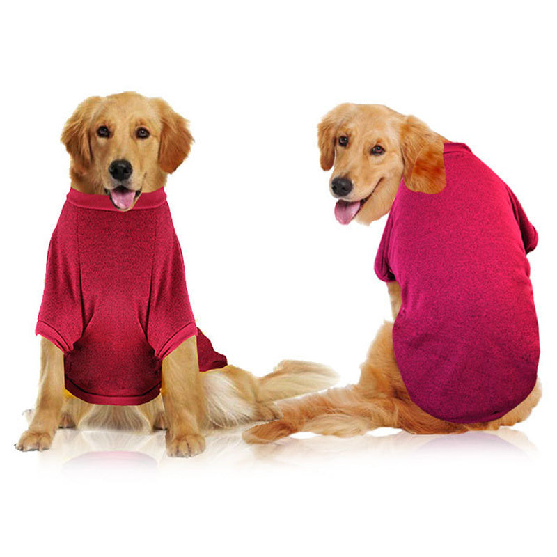 clothes for dog
