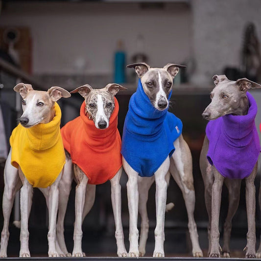 Dog Clothing