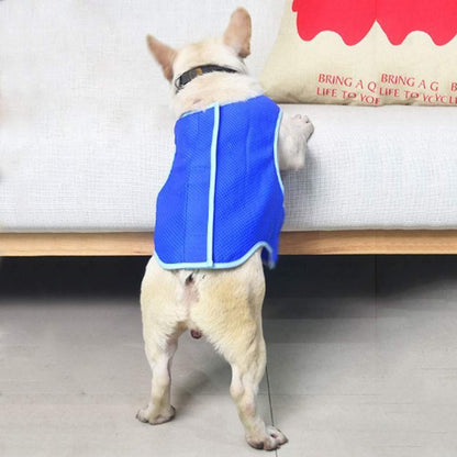 Dog vest