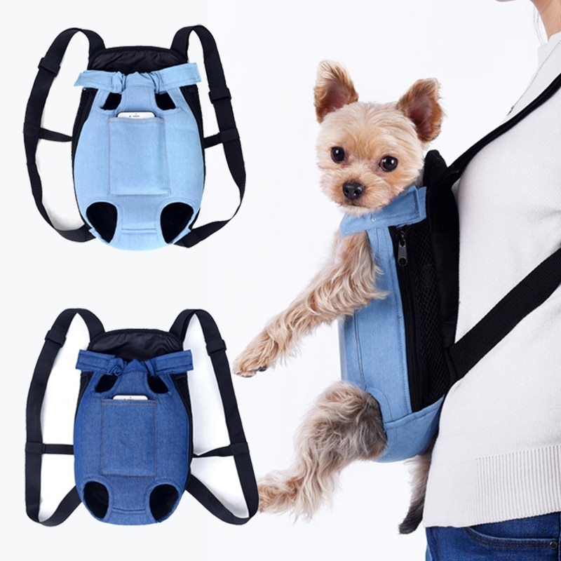 dog travel