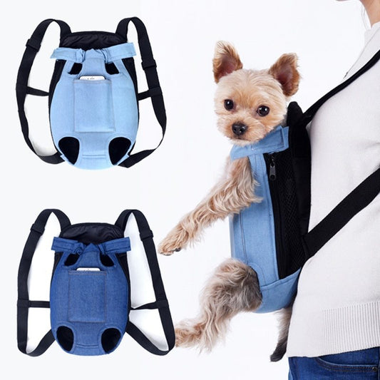 dog travel