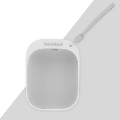 Drinking Bowl