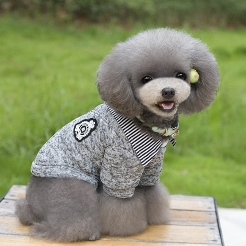 Dog hoodie