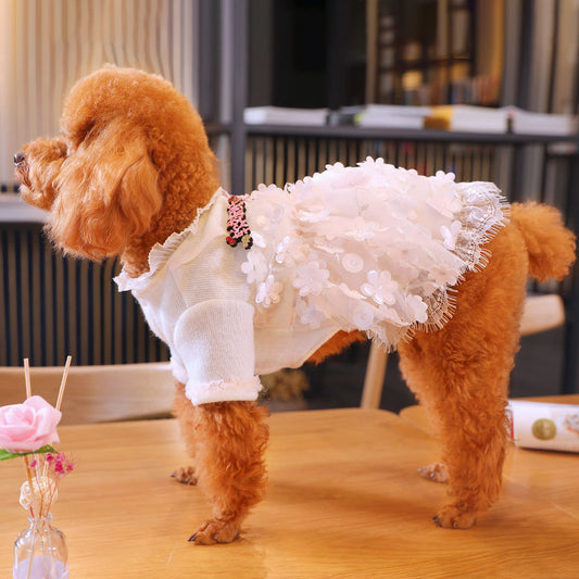Dog skirt