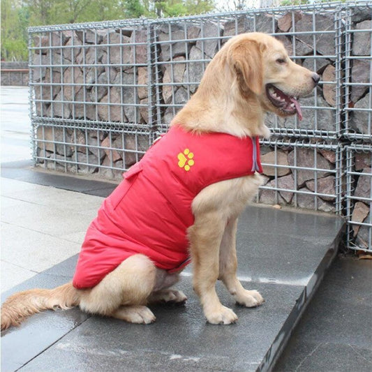 Winter Dog Clothes