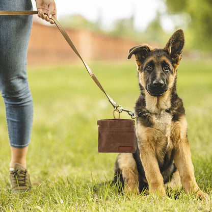 Dog Food Bag