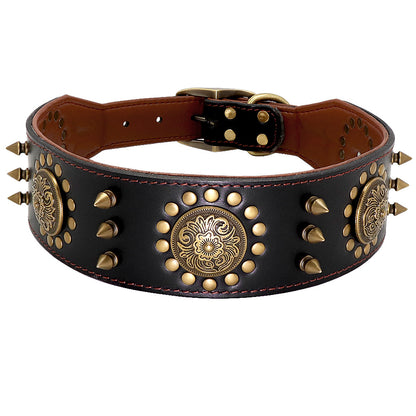 Dog Collar