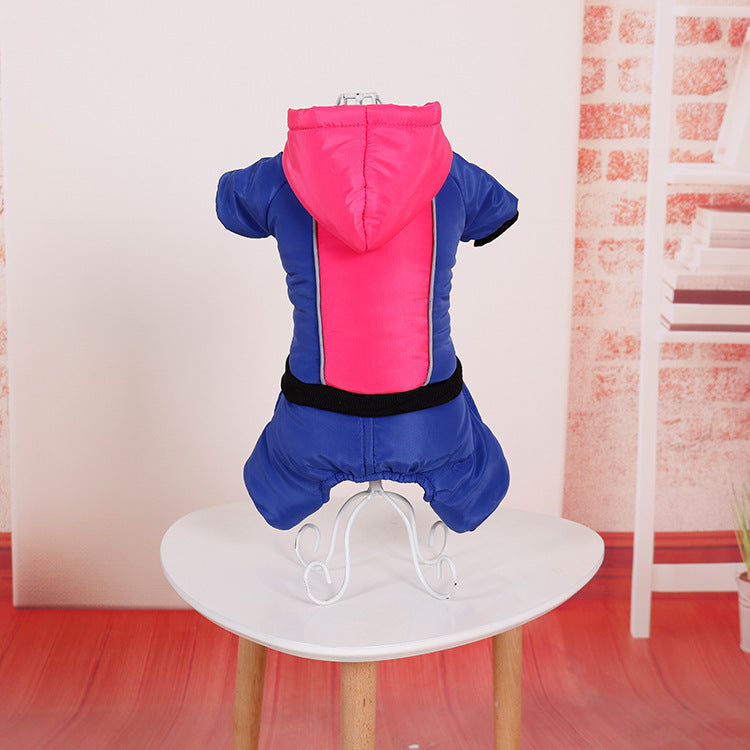 dog clothes