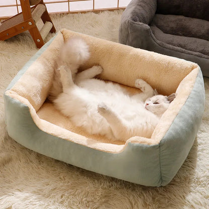 dog bed