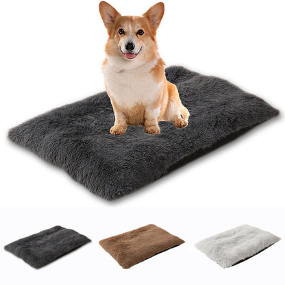 Dog Mat